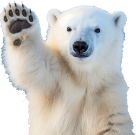 Polar Plunge with Polar Bear 2026 Alberton Day